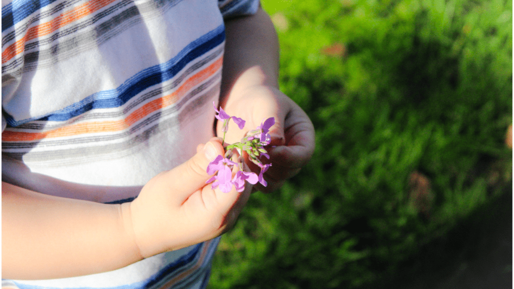 toddler holding flower