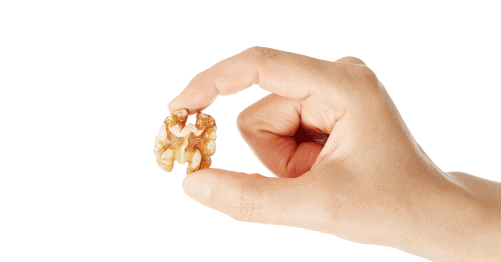 Picture of a hand holding a walnut (Showing just how small a baby's stomach is!)