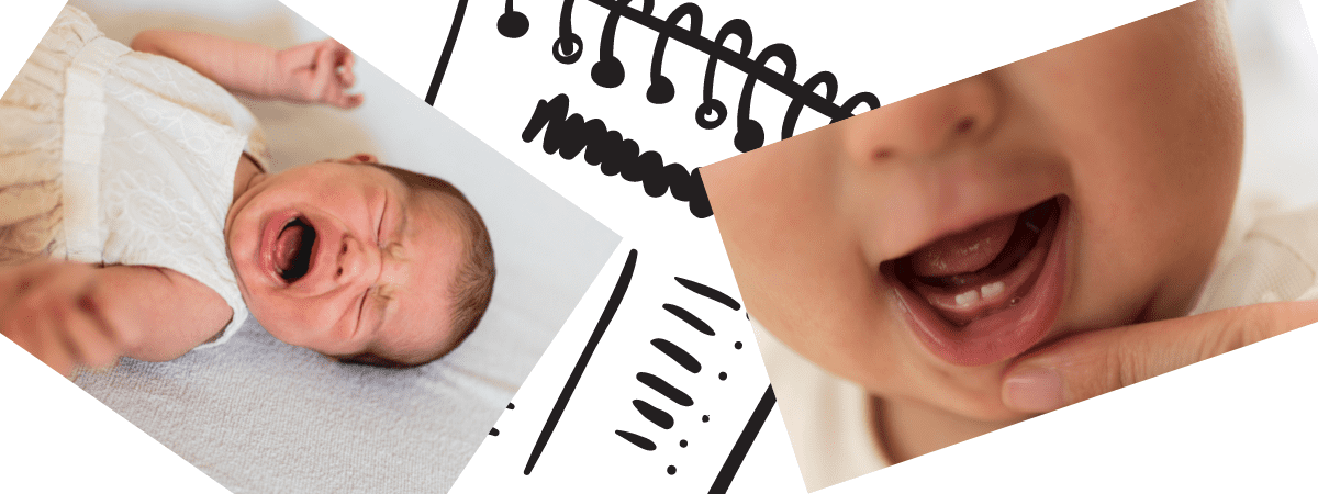 Baby’s first teeth -Reality bites – and bites hard!