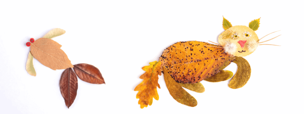 Leaves arranged to make animals
