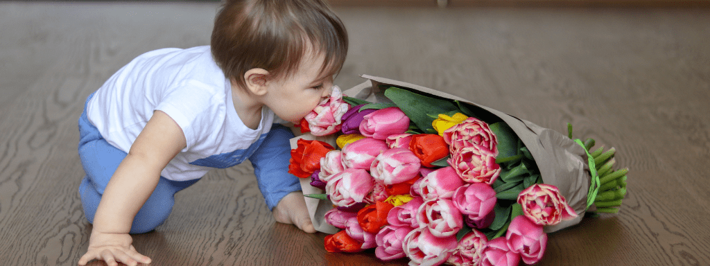 The 5 senses for a baby: to demonstrate smell, this image shows a baby curiously smelling at a bouquet of flowers