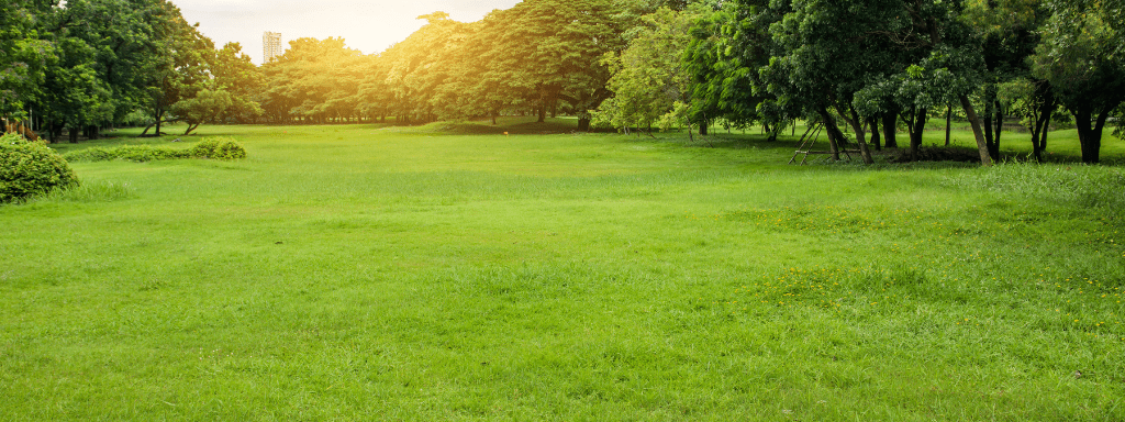 Birimingham things to do, image shows outdoor space, green field and trees 