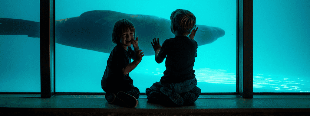 Image shows two children at an aquarium, looking at a manta ray swimming past
