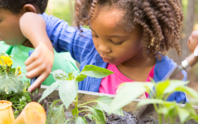 10 Fun Ways To Spend Time Outdoors With Kids This Spring